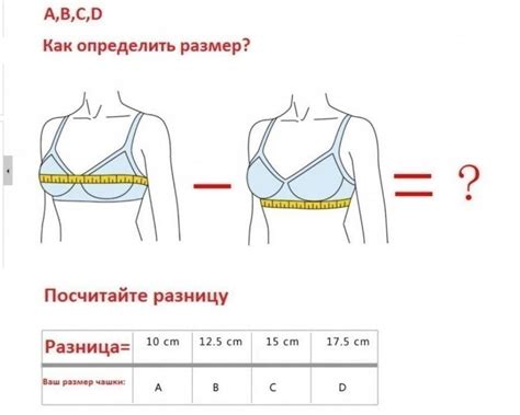 Что означает размер бюста?