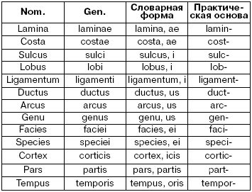 Что означает слово "cito" на латинском языке?