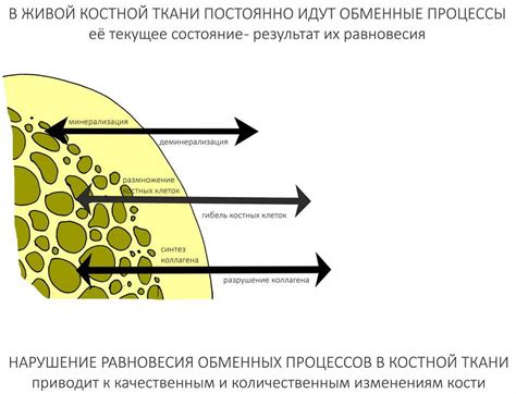 Что означает сохраниться: суть и важность