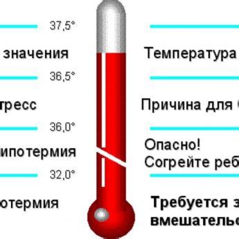 Что означает температура 35 у взрослого