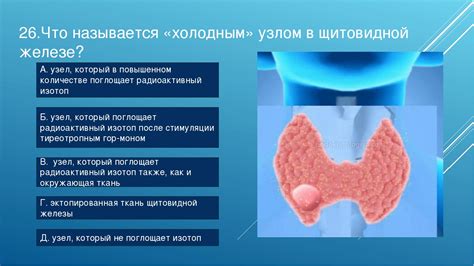 Что означает узел в щитовидке и какова его опасность?