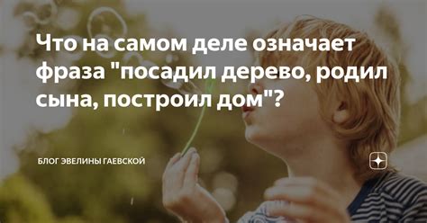 Что означает фраза "смажь койку дура"