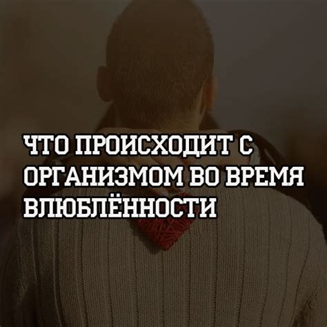 Что означает чувство влюбленности?