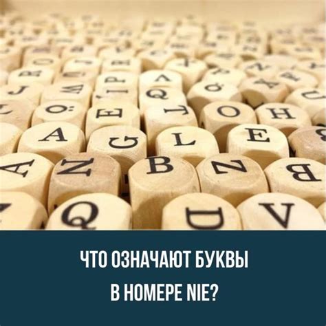 Что означают буквы БЦЖ?