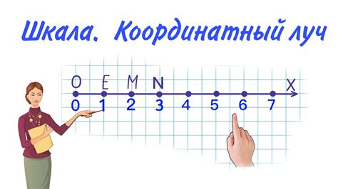 Что представляет собой координатный луч?