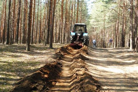 Что представляет собой минерализованная полоса