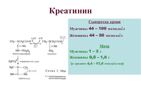 Что представляет собой понижение креатинина?