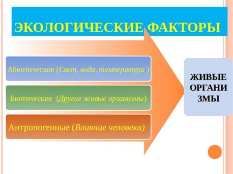 Что приводит к быстрым отношениям: факторы и их последствия