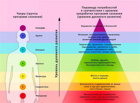 Что приводит к дрожанию тела человека?