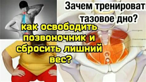 Что приводит к оголению живота?