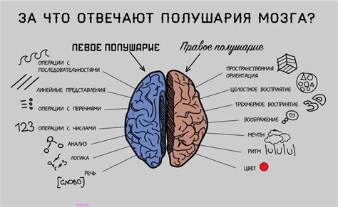 Что происходит, если мозг не активен?