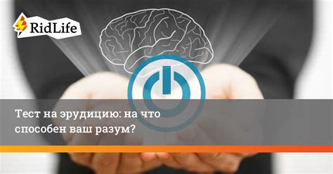 Что происходит, когда ваш разум останавливается?