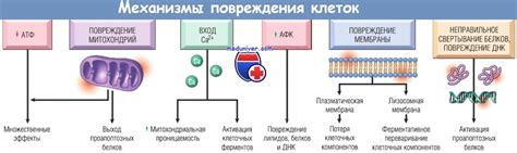 Что происходит, когда организм «захлебывается»: основные механизмы и последствия