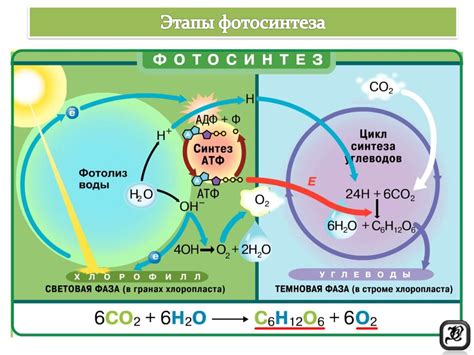 Что происходит во время процесса затепления звезды?