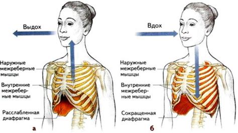 Что происходит при обнулении профиля