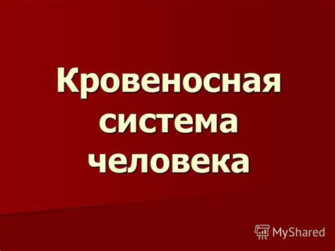 Что происходит при отсутствии циркуляции крови