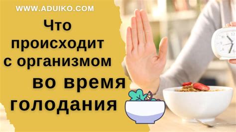 Что происходит с организмом во время голодания на воде в течение 3 дней?