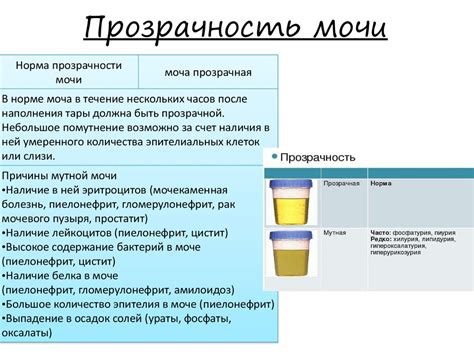 Что происходит с организмом при увеличении диуреза?