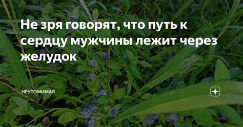 Что такое "неутомимая"?