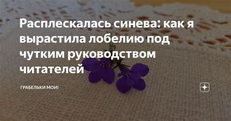 Что такое "расплескалась синева"?