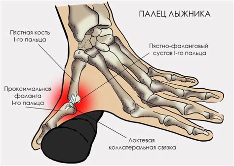 Что такое "талья у большого пальца"?