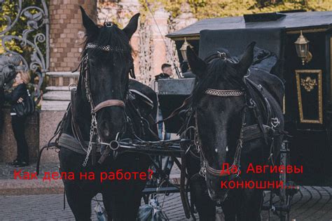 Что такое Авгиевы конюшни?