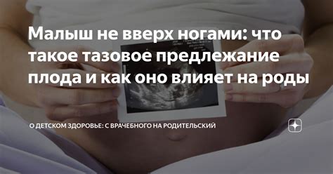 Что такое БКС роды