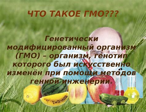 Что такое ГМО и как оно воздействует на нас?