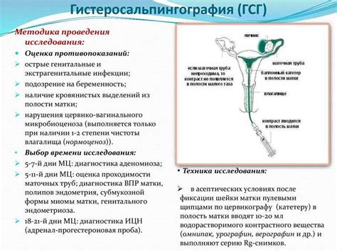 Что такое ГСГ?