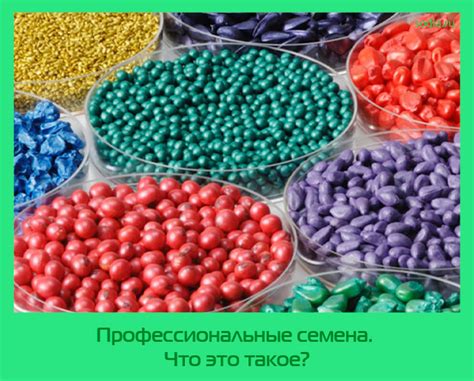 Что такое Проф семена?