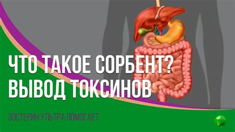 Что такое абсорбирование токсинов