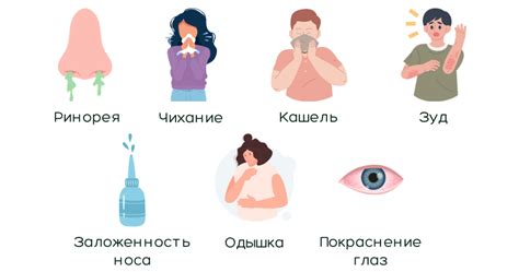 Что такое аллергия и как с ней бороться?