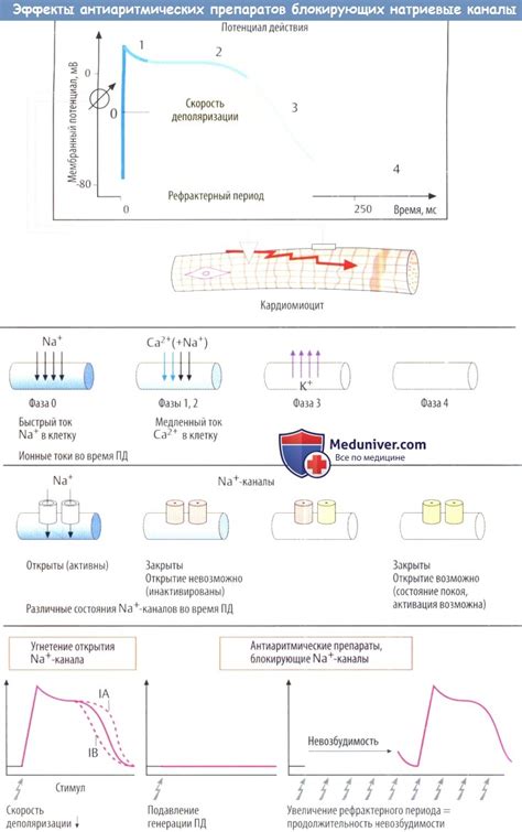 Что такое антикуперозное действие?