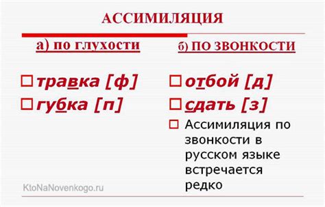 Что такое ассимиляция по звонкости?