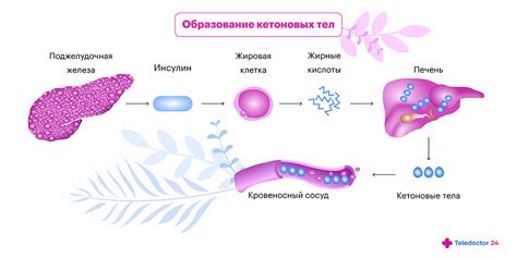 Что такое ацетон в моче?