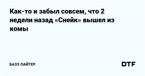 Что такое базз-лайтер? Определение, задачи, работа