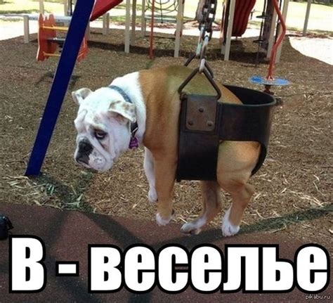 Что такое безудержное веселье?