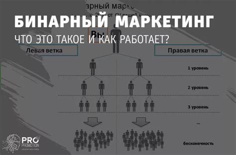 Что такое бинарный маркетинг?