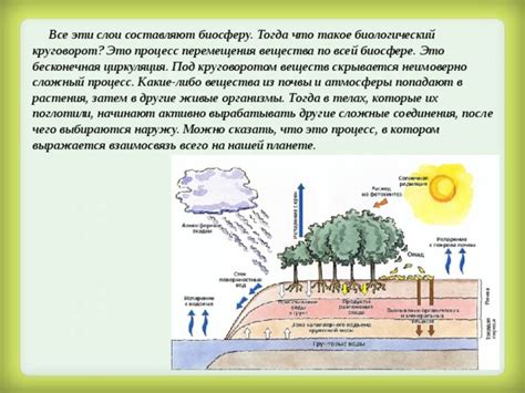 Что такое биологический процесс?