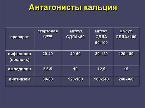 Что такое блокаторы медленных кальциевых каналов: значение и действие