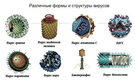 Что такое вирус SARS простыми словами?