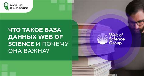 Что такое выборка данных и почему она важна