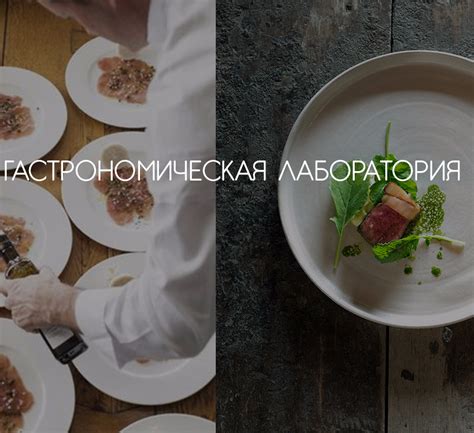 Что такое гастрономическая кухня?