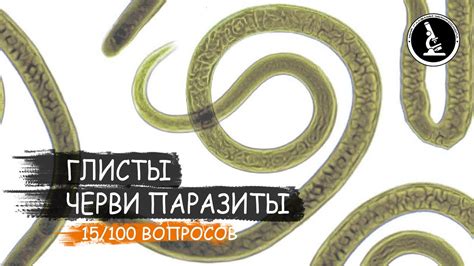 Что такое гельминты и почему они опасны?