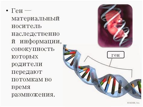 Что такое гемосидерин и как он образуется