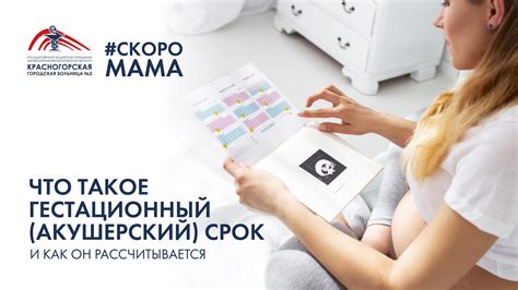 Что такое гестационный срок?