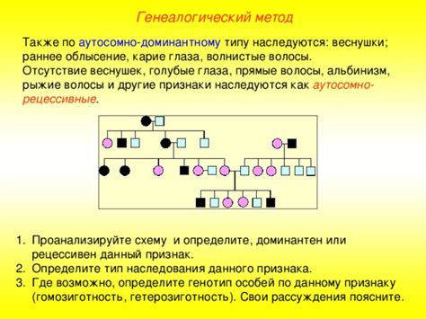 Что такое гетерозиготность и гомозиготность и их важность в генетике