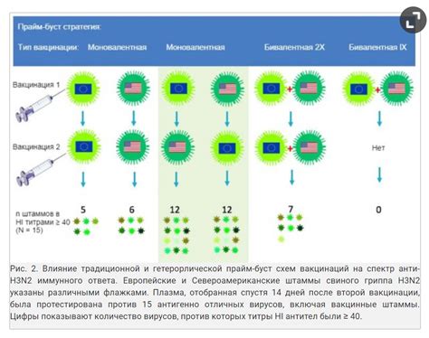 Что такое гетерологический прайм буст?