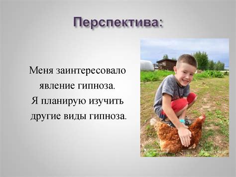 Что такое гипноз курицы?