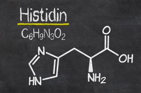Что такое гистидин аминокислота?